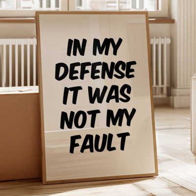 In My Defense It Was Not My Fault 2