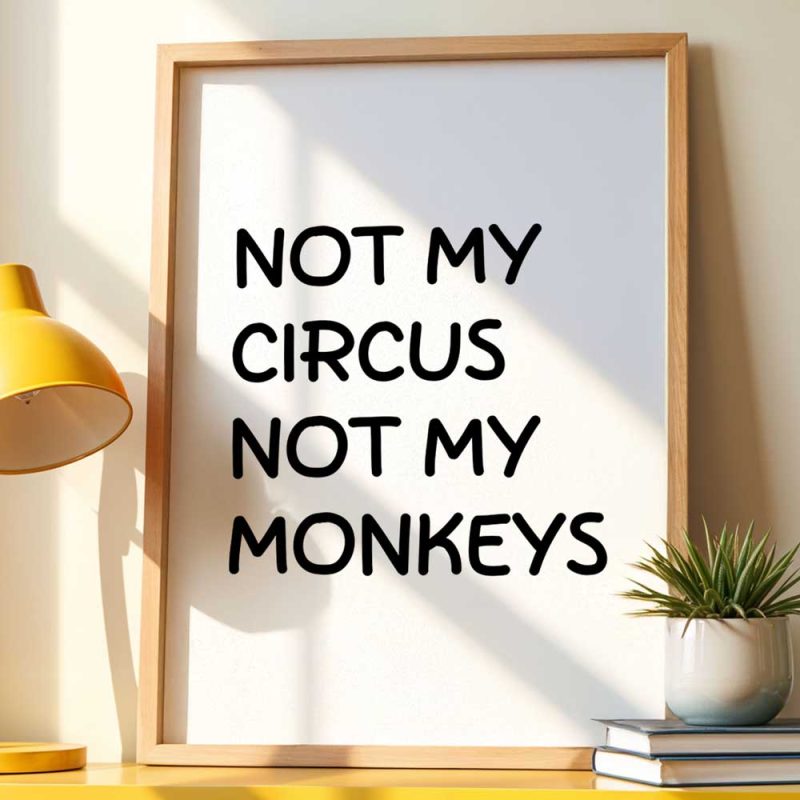 Not My Circus Not My Monkeys 12