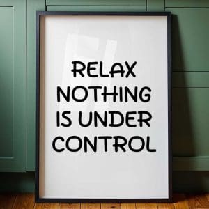 Relax Nothing Is Under Control 6
