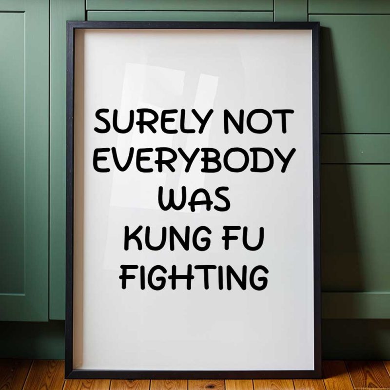 Surely Not Everybody Was Kung Fu Fighting 6