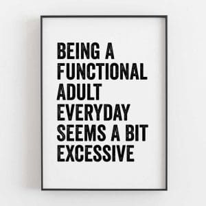 Being A Functional Adult Everyday Seems A Bit Excessive