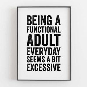 Being A Functional Adult Everyday Seems A Bit Excessive